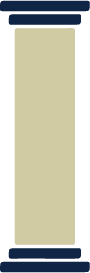 Absolventi